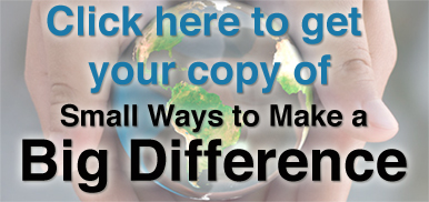 Get your copy of  Small Ways to Make a Big Difference